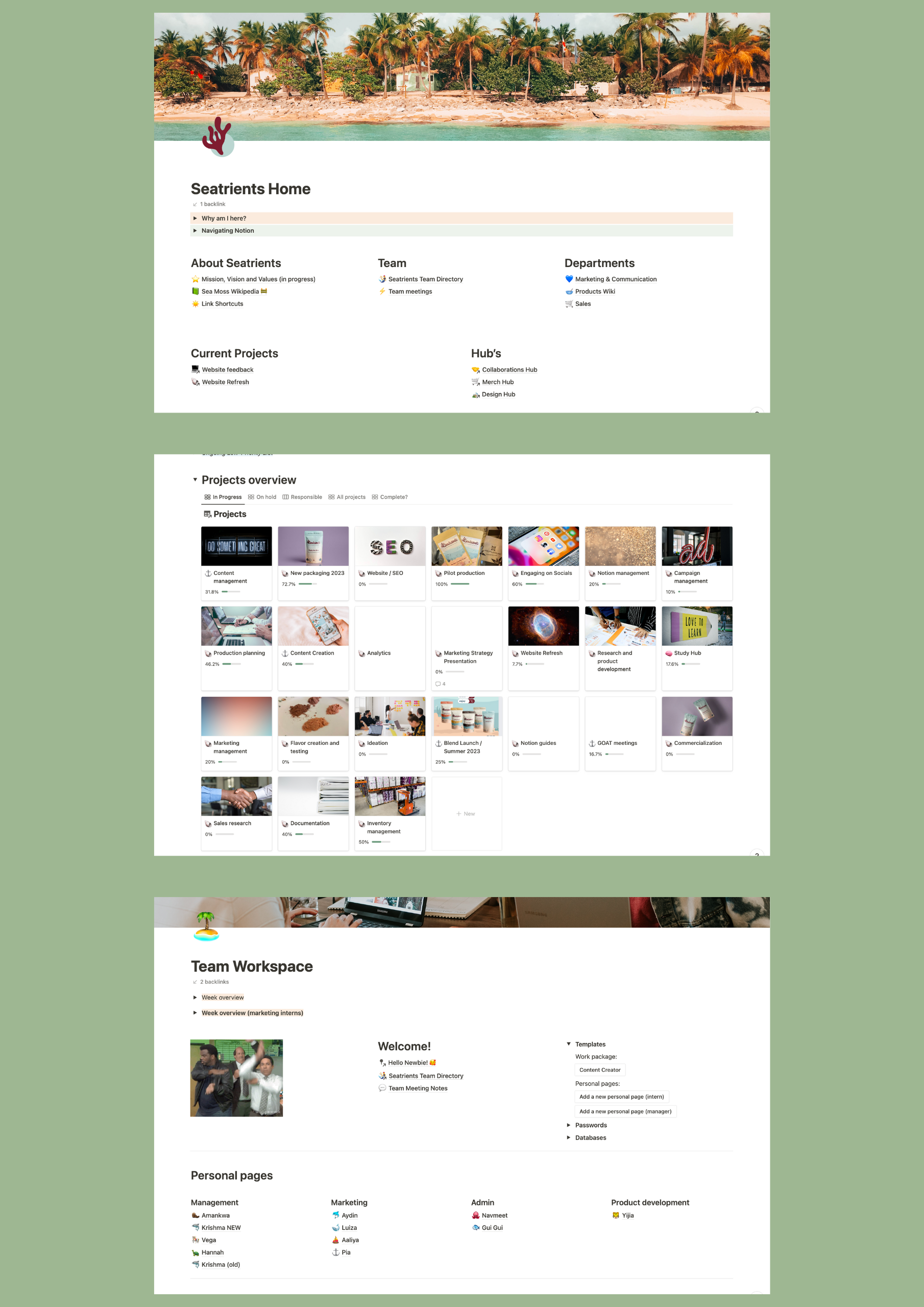 screenshots of Notion workspaces on a pastel green coloured background, showcasing a productive notion workspace for startup teams.